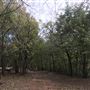 Camp DaKaNi