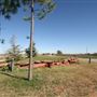 Taylor Ranch