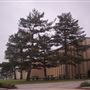 Imation Plant