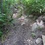 Stinchcomb Wildlife Refuge