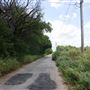 Stinchcomb Wildlife Refuge