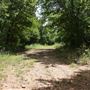 Stinchcomb Wildlife Refuge