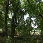 Stinchcomb Wildlife Refuge