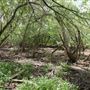 Stinchcomb Wildlife Refuge