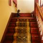 Mesta Park Historical Home