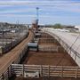 Oklahoma National Stockyard Exchange