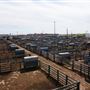 Oklahoma National Stockyard Exchange
