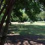 Pioneer Cemetery
