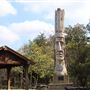 Forest Heritage Center Museum