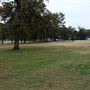 Dixon Durant Park