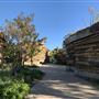 The Gathering Place