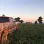 Hunt Mill Hollow Ranch