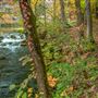 Hunt Mill Hollow Ranch