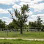 RoseHill Cemetery