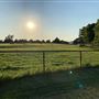 Red Buffalo Farm