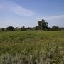 Rydell Ranch