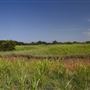 Rydell Ranch