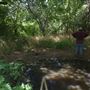 Rydell Ranch