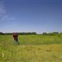 Rydell Ranch