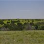 Rydell Ranch