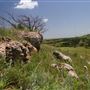 Rydell Ranch