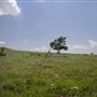 Rydell Ranch