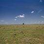 Rydell Ranch
