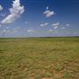 Rydell Ranch