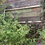 Ward Ranch