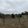 Ward Ranch