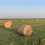 Working Ranch & Farm in Ponca City