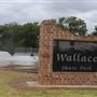 Wallace Skate Park