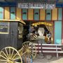 Where The Buffalo Roam Boutique