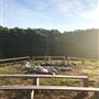 YMCA Camp Classen