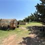 Nellis Vineyards