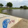 South Lakes Park
