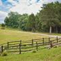 The Rockin J Ranch