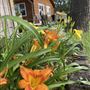 Oak Spring Retreat