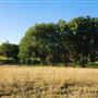 Sunset Hills Golf Course