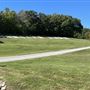 Chandler Park