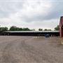 Collinsville Livestock Sales