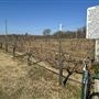 Pecan Creek Winery