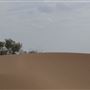 America's Oasis