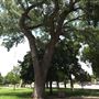 Northwestern Oklahoma State University
