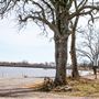 Pauls Valley Lake
