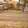 Dewberry Park