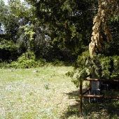 Wright's Cemetery
