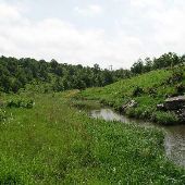 Cedar Creek Ranch