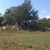 Fallis (Ghost Town)