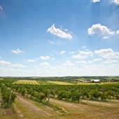 Woods and Waters Winery